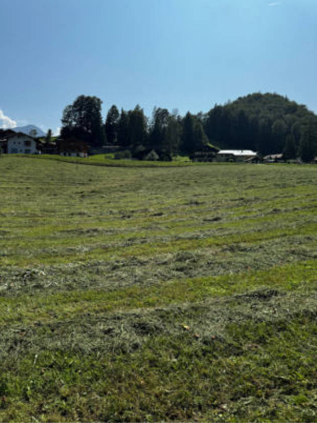 Wald-, Landwirtschafts-, Verkehrsfläche in Nähe Locksteinstraße, 83471 Berchtesgaden - Bild 5