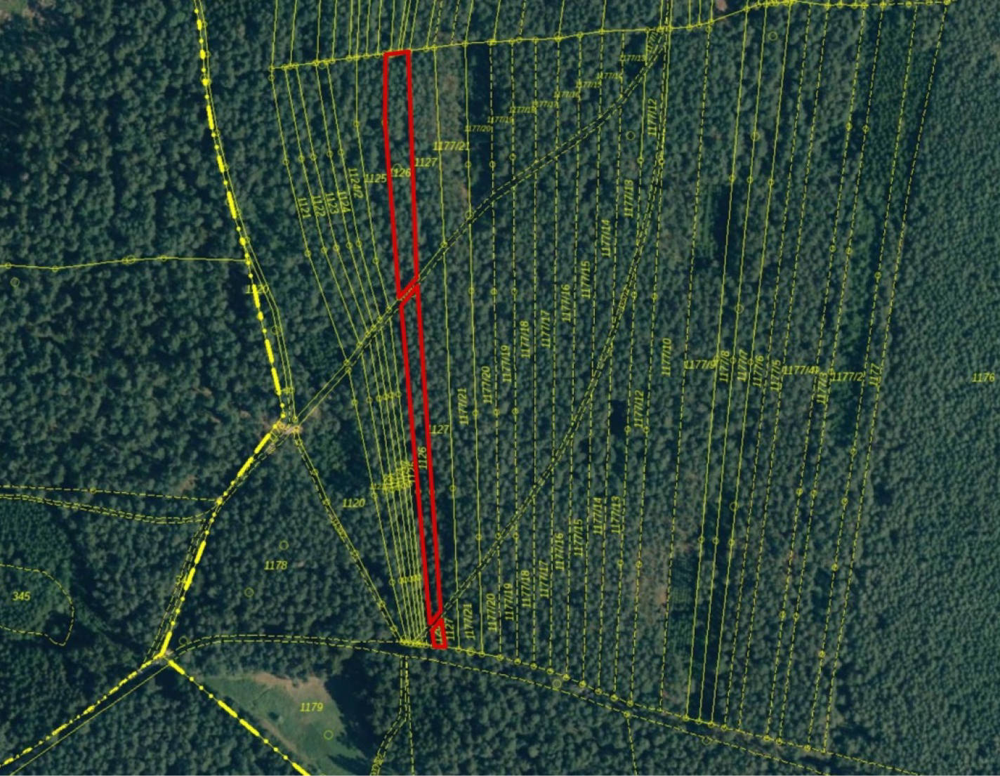 Waldfläche in Gemarkung Oberschambach Flst. 1126, 93342 Oberschambach, Zweifel - Bild 3