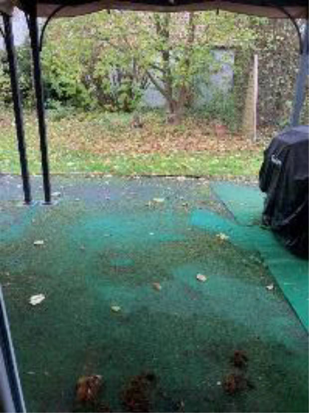 bayern 0004 K 0033/2024 Hauptstraße 35, 93099 Mötzing 16