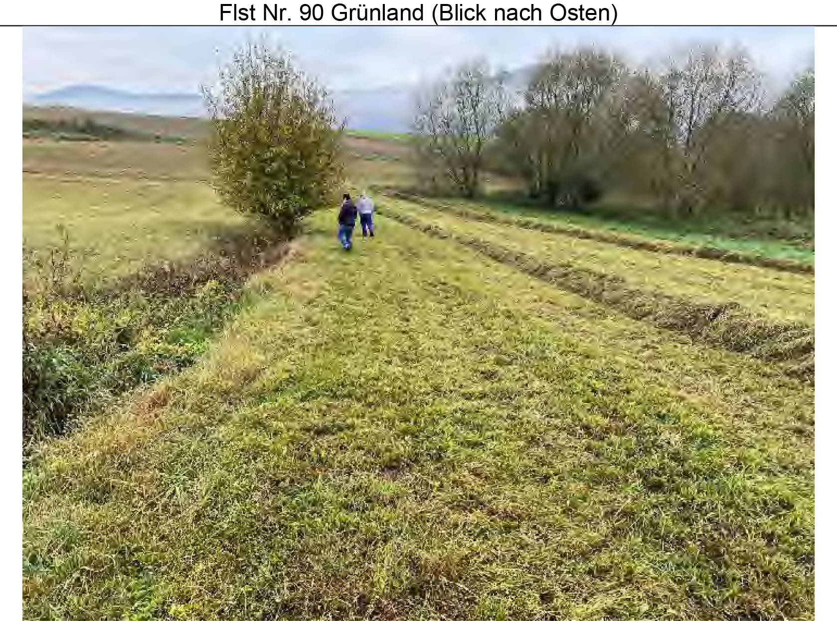 Grünland, Ackerland in Im Point Flst. 90, Weidenfelder Flst. 125, Bügeläcker Flst. 203, 00000 Traidersdorf - Bild 4