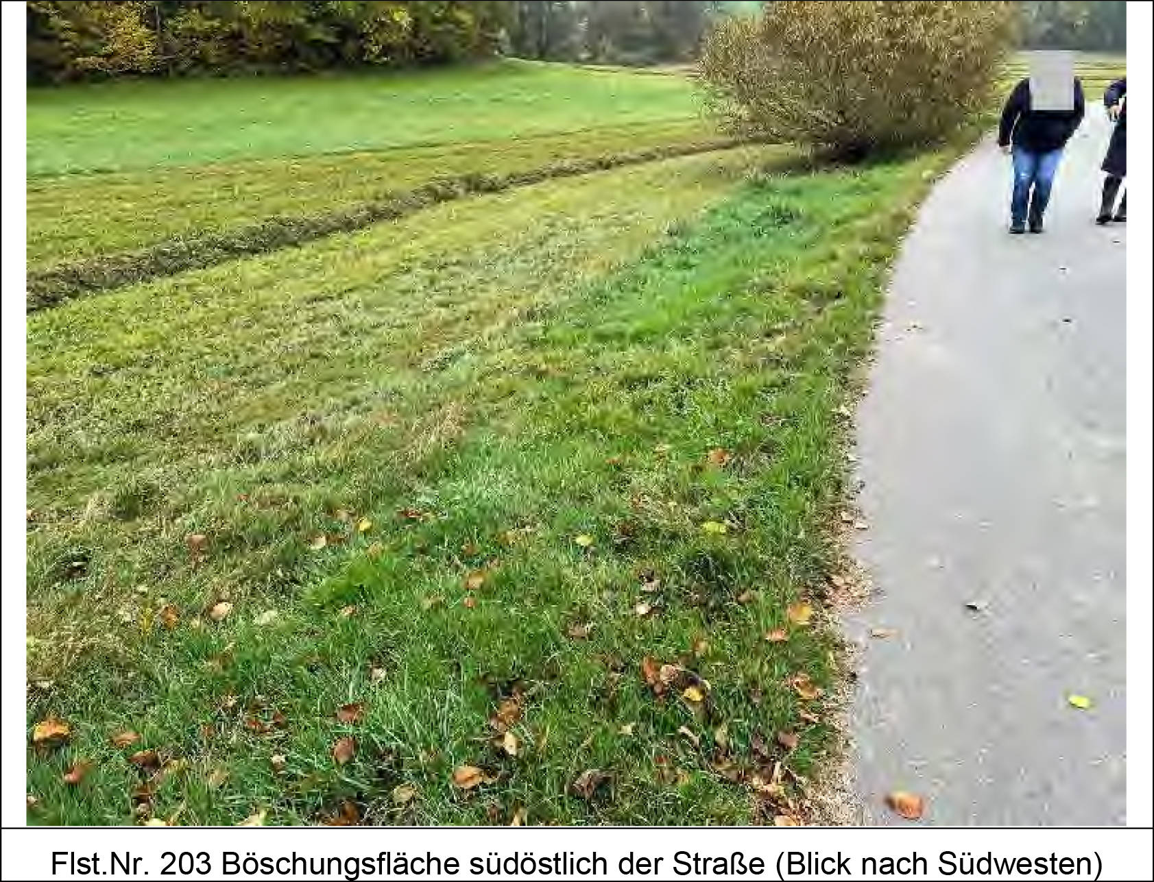 Grünland, Ackerland in Im Point Flst. 90, Weidenfelder Flst. 125, Bügeläcker Flst. 203, 00000 Traidersdorf - Bild 3