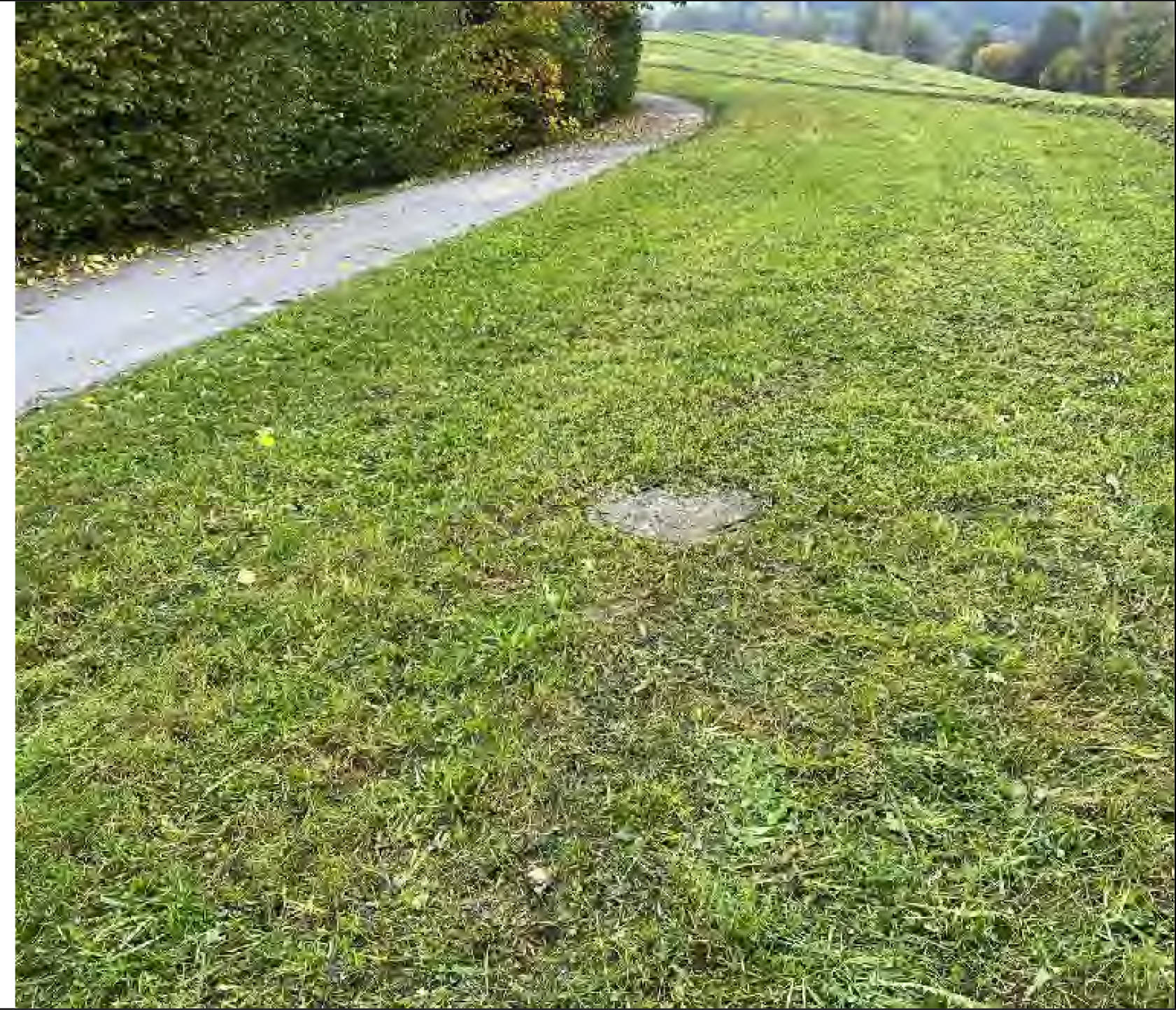 Grünland, Ackerland in Im Point Flst. 90, Weidenfelder Flst. 125, Bügeläcker Flst. 203, 00000 Traidersdorf - Bild 2