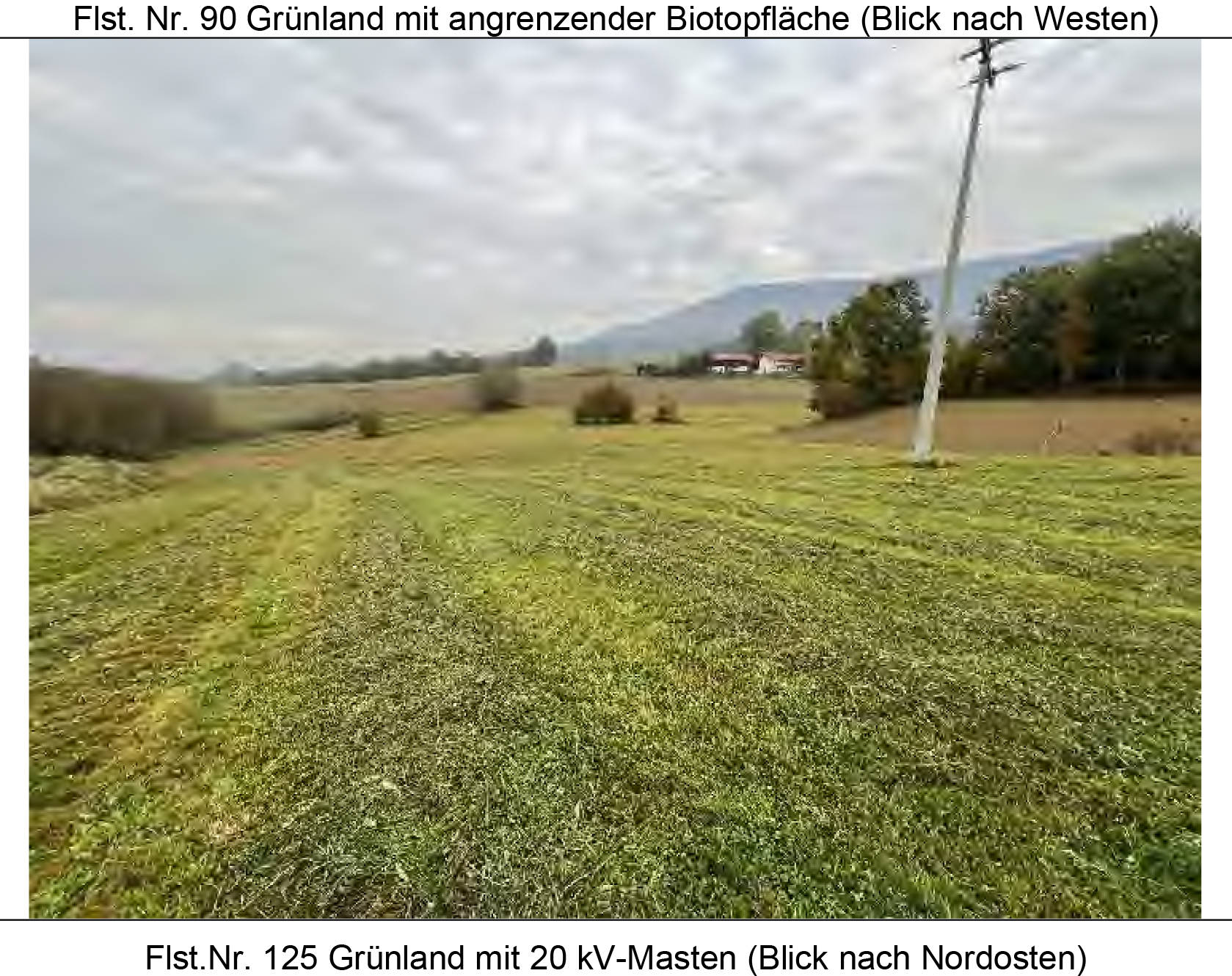 Grünland, Ackerland in Im Point Flst. 90, Weidenfelder Flst. 125, Bügeläcker Flst. 203, 00000 Traidersdorf