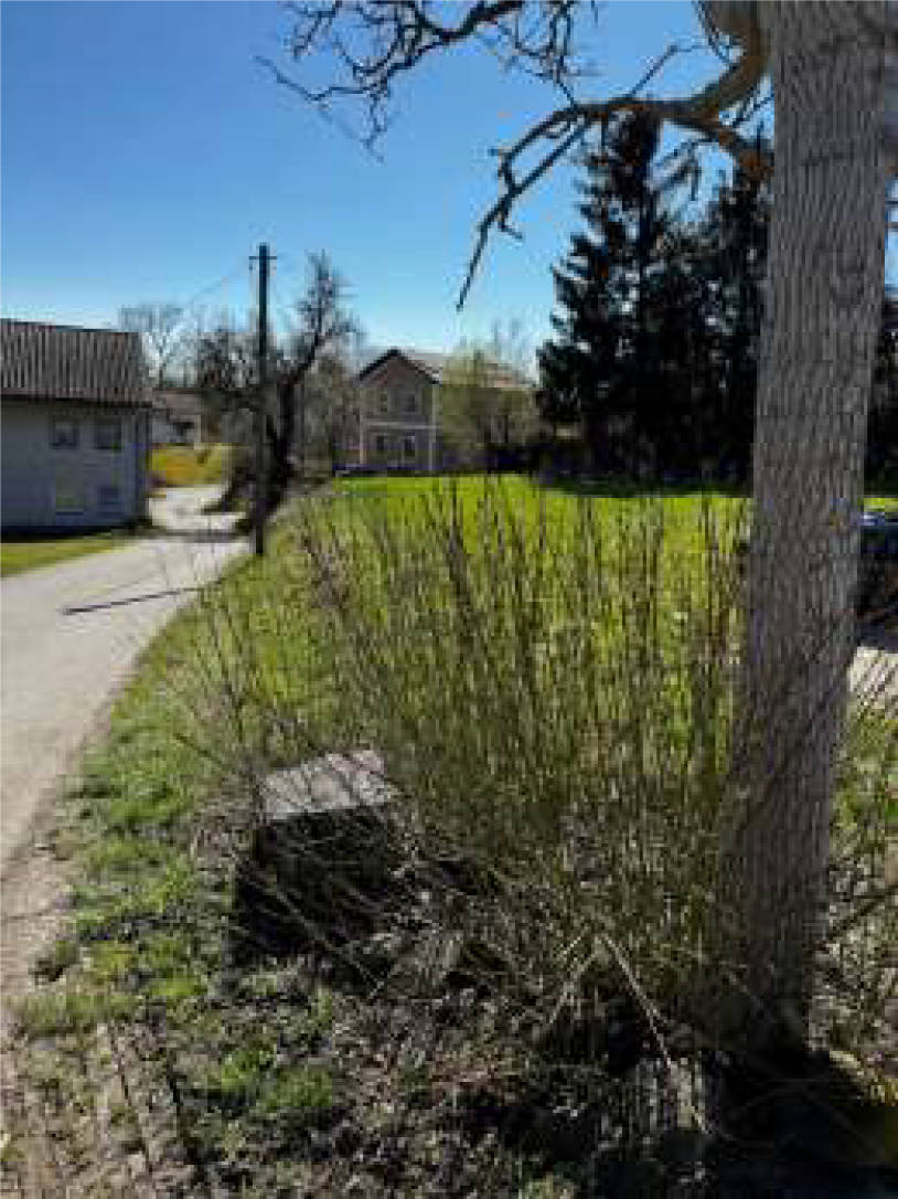 bayern 0004 K 0061/2024 Nähe Wiesmühl  24 und 24 a, 84529 Tittmoning/Wiesmühl 6