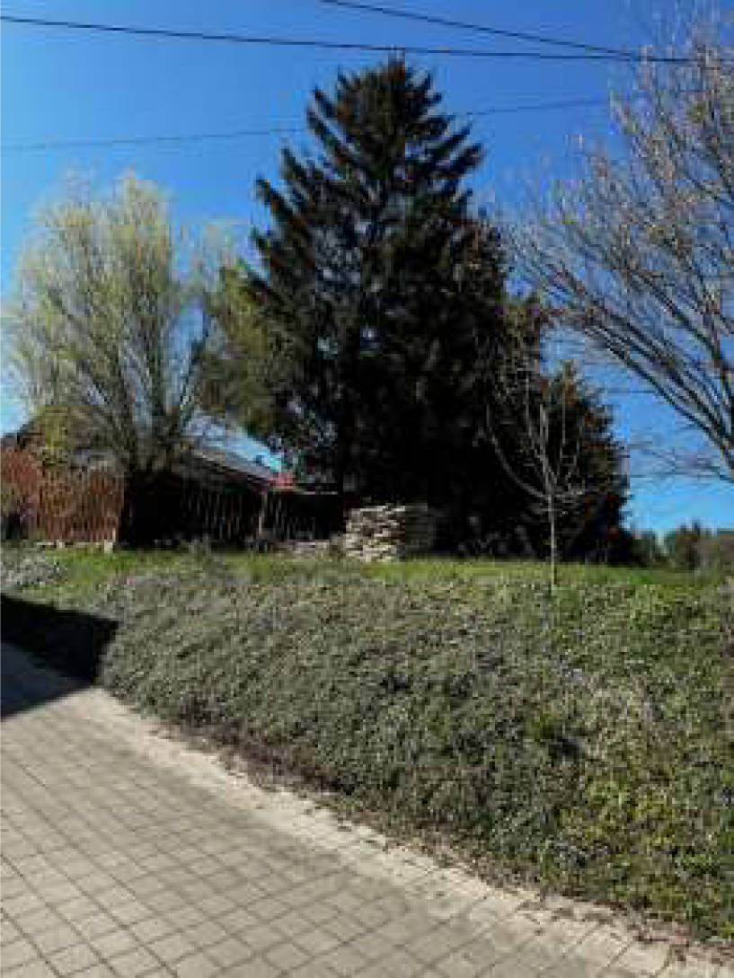 Landwirtschaftsfläche in Nähe Wiesmühl  24 und 24 a, 84529 Tittmoning/Wiesmühl - Bild 4