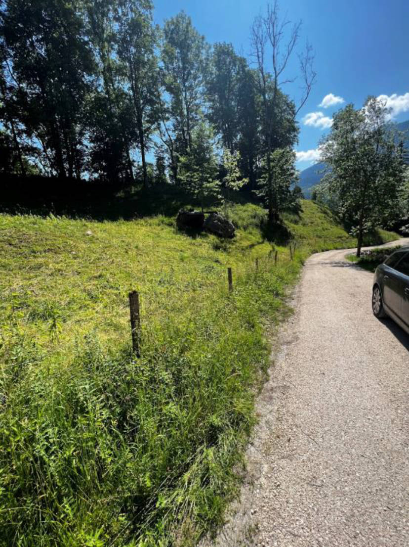 Landwirtschaftsfläche mit Waldanteil in Unterer Schabl, 83471 Berchtesgaden - Bild 4