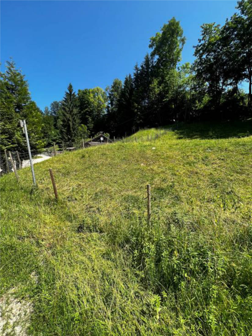Landwirtschaftsfläche mit Waldanteil in Unterer Schabl, 83471 Berchtesgaden - Bild 3