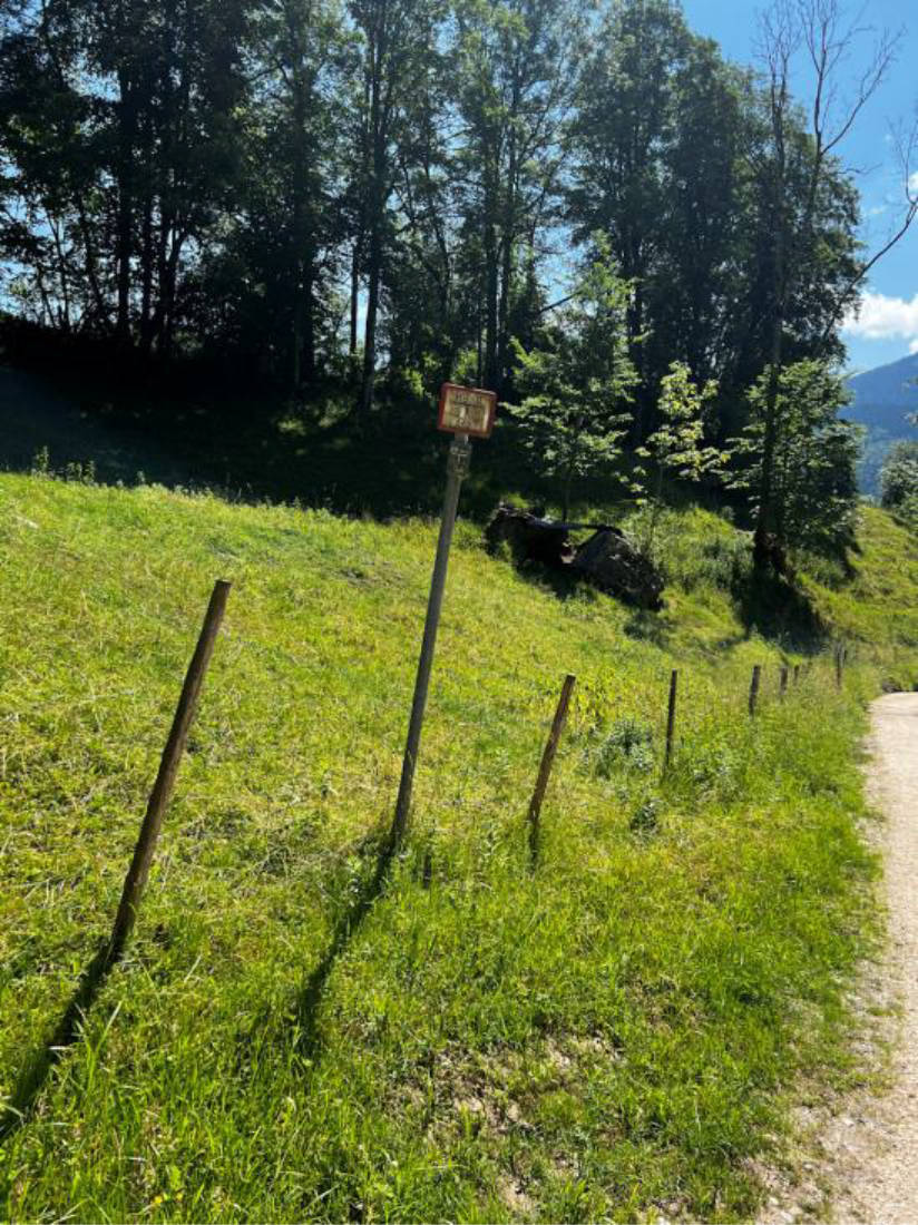 Landwirtschaftsfläche mit Waldanteil in Unterer Schabl, 83471 Berchtesgaden