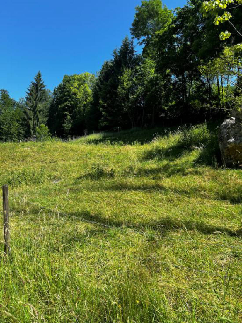 bayern 0004K0062-2022 Unterer Schabl, 83471 Berchtesgaden 10