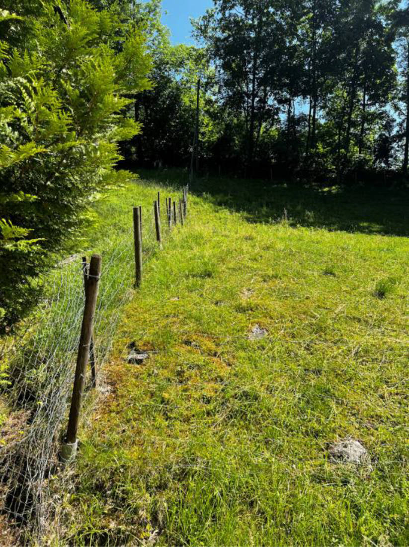 Landwirtschaftsfläche mit Waldanteil in Unterer Schabl, 83471 Berchtesgaden - Bild 5