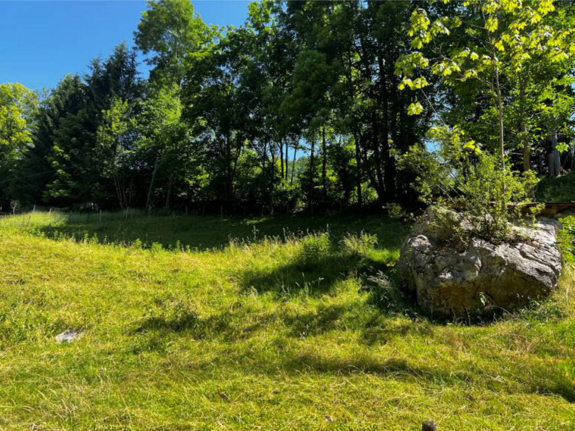 Landwirtschaftsfläche mit Waldanteil in Unterer Schabl, 83471 Berchtesgaden - Bild 2