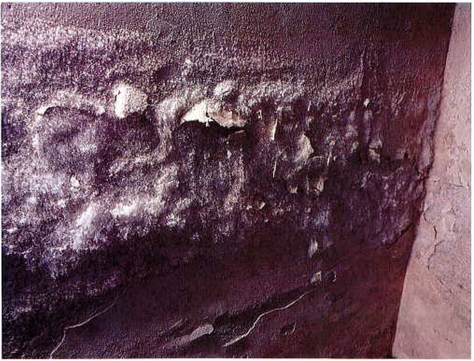 bayern 0004 K 0068/2024 Berchtesgadener Str.  35, 83548 Schneizlreuth 7