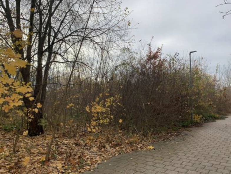 Bauland in Nähe Bajuwarenstraße, 93053 Regensburg - Bild 2