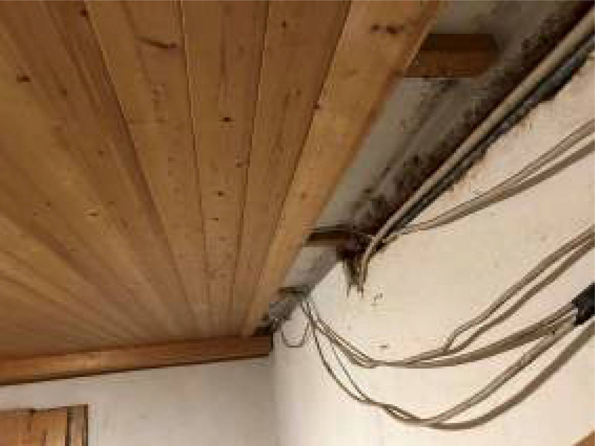 bayern 0004K0090-2023 Baierner Weg 14, 93138 Lappersdorf 9