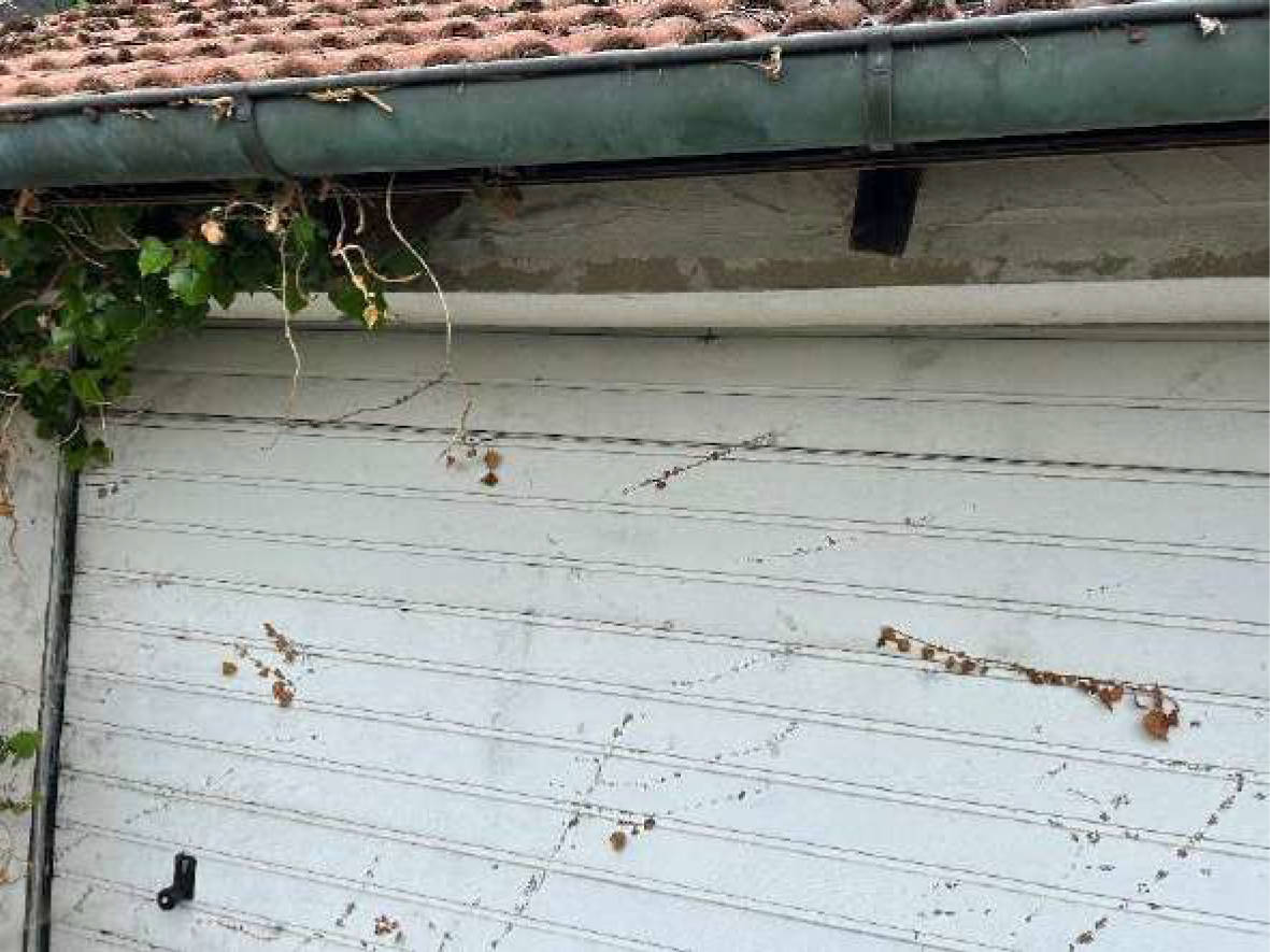 bayern 0004 K 0099/2024 Pfarrer-Lichtenwald-Straße 14, 93173 Wenzenbach 14