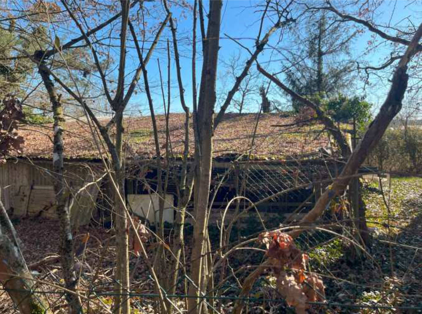 Landwirtschaftsfläche in Diesenbach Flst. 778/3, Flst. 380, 00000 Diesenbach - Bild 2
