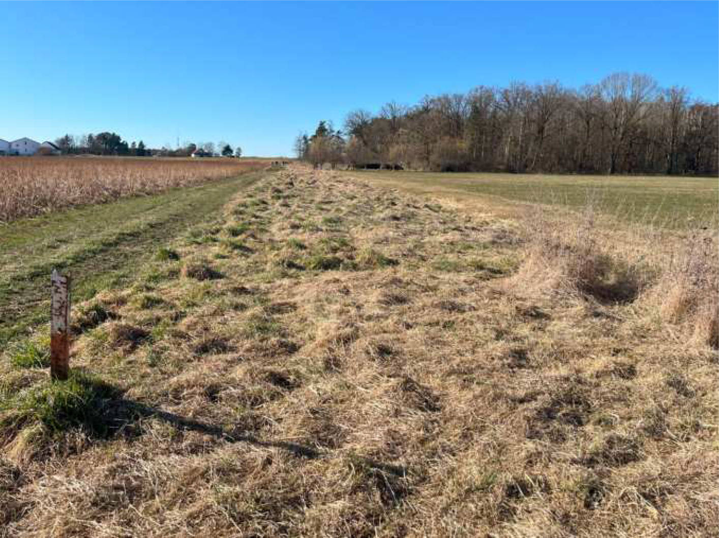 Landwirtschaftsfläche in Diesenbach Flst. 778/3, Flst. 380, 00000 Diesenbach