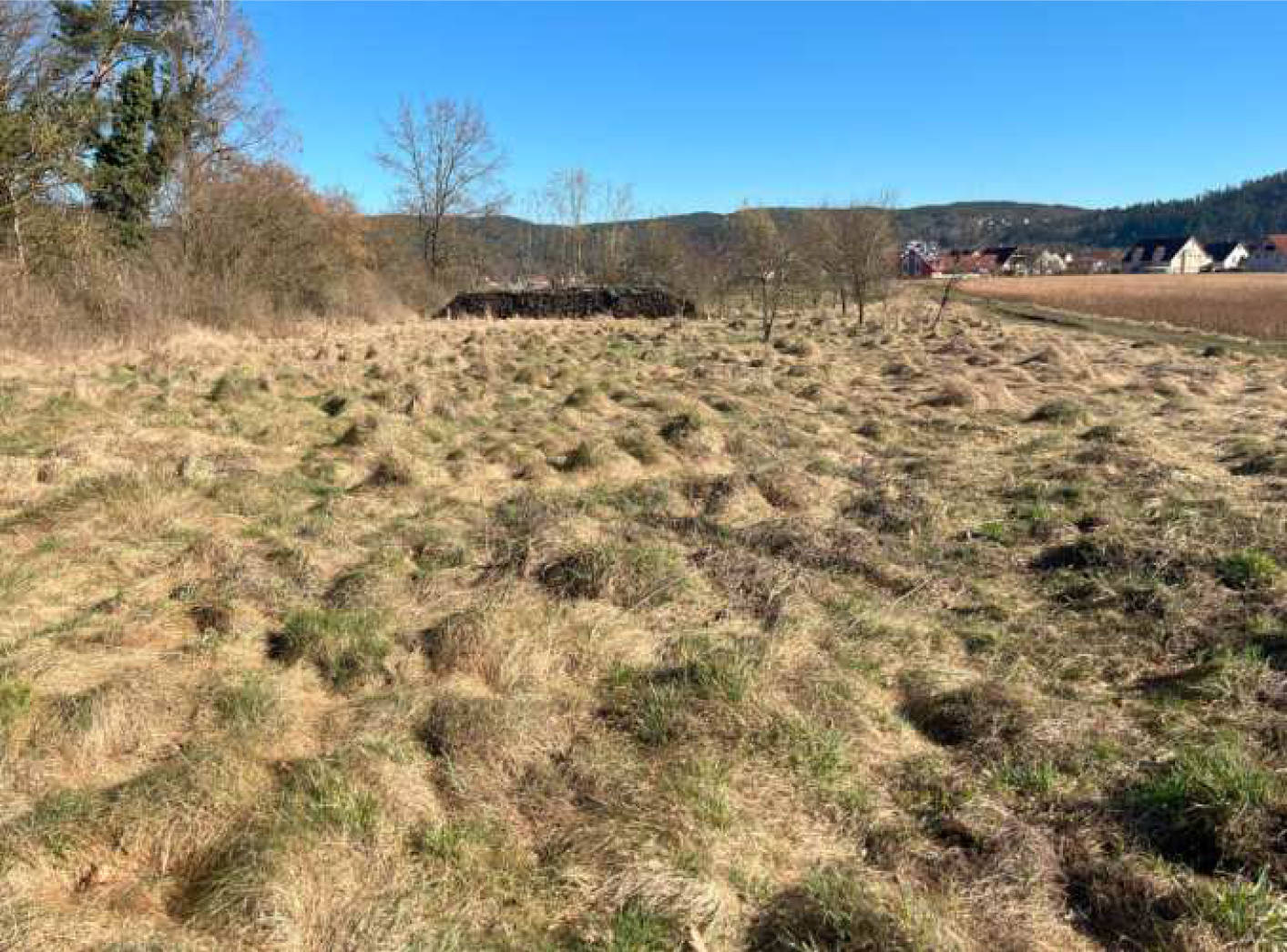 Landwirtschaftsfläche in Diesenbach Flst. 778/3, Flst. 380, 00000 Diesenbach - Bild 5