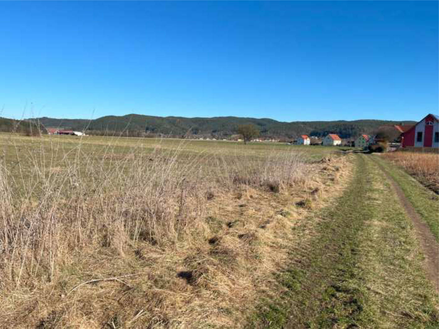 Landwirtschaftsfläche in Diesenbach Flst. 778/3, Flst. 380, 00000 Diesenbach - Bild 3