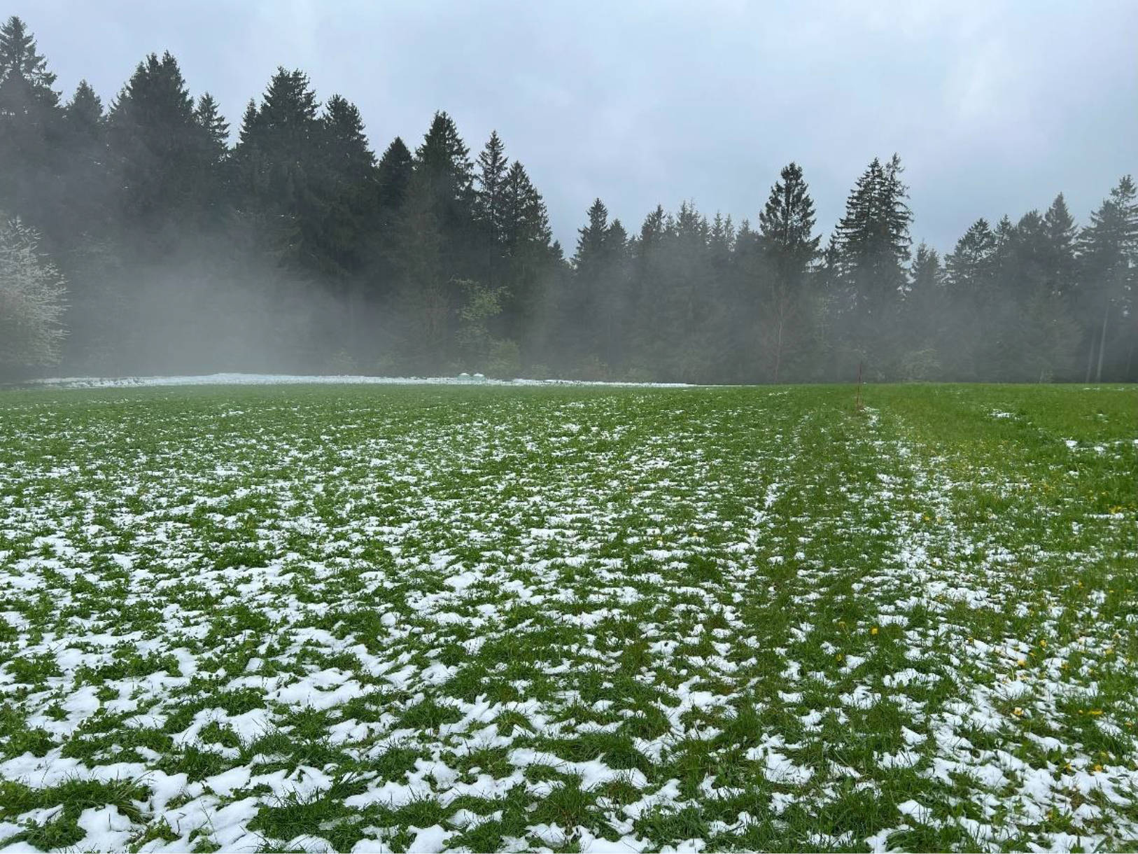 bayern 0004K0117-2023 Winterzell Flst. 879, 00000 Gemarkung Rittsteig