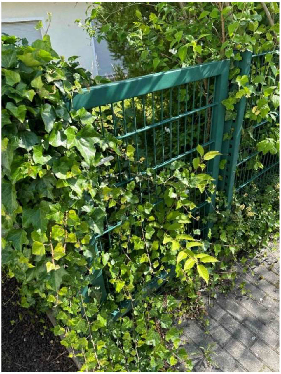 bayern 0006K0024-2024 Gläsleinsackerweg 18, 90482 Nürnberg