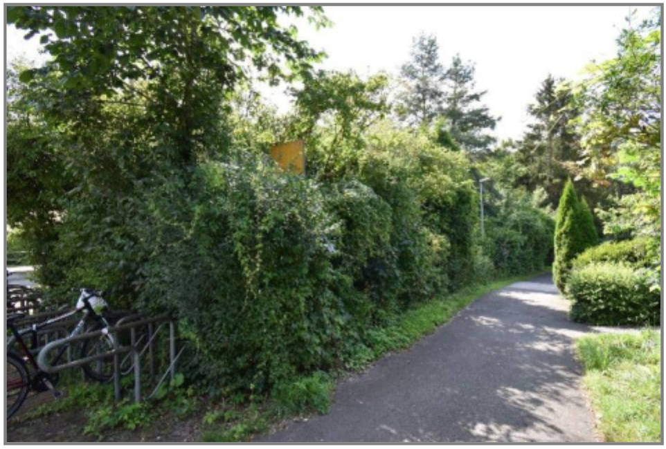 Einfamilienhaus, Sonstiges in Bahnhofstraße 51, 90559 Burgthann - Bild 3
