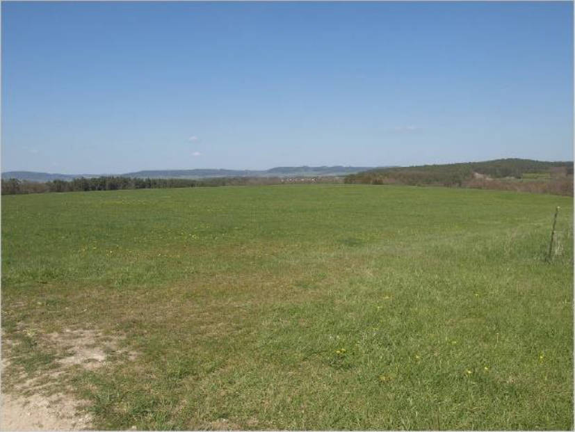 Einfamilienhaus, land- und forstwirtschaftlich genutztes Grundstück, land- und forstwirtschaftlich genutztes Grundstück, land- und forstwirtschaftlich genutztes Grundstück, land- und forstwirtschaftlich genutztes Grundstück in Kleingeschaidter Straße 2, 91207 Lauf a.d.Pegnitz - Bild 3