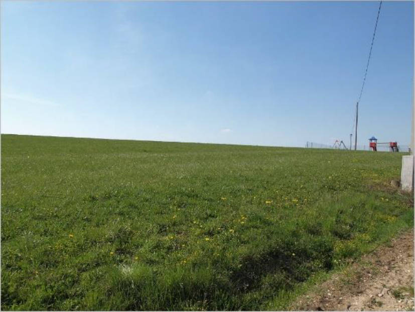 Einfamilienhaus, land- und forstwirtschaftlich genutztes Grundstück, land- und forstwirtschaftlich genutztes Grundstück, land- und forstwirtschaftlich genutztes Grundstück, land- und forstwirtschaftlich genutztes Grundstück in Kleingeschaidter Straße 2, 91207 Lauf a.d.Pegnitz - Bild 5