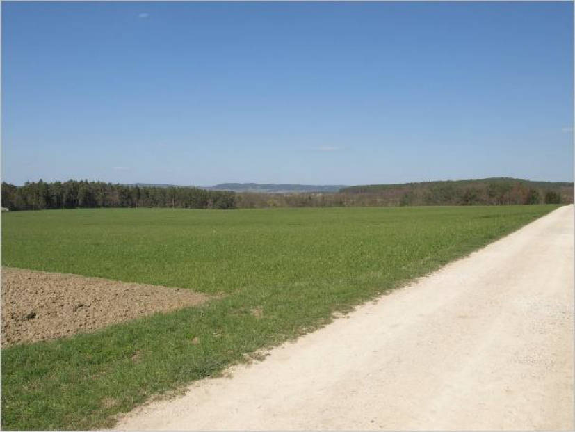 bayern 0009K0120-2023 Kleingeschaidter Straße 2, 91207 Lauf a.d.Pegnitz 17