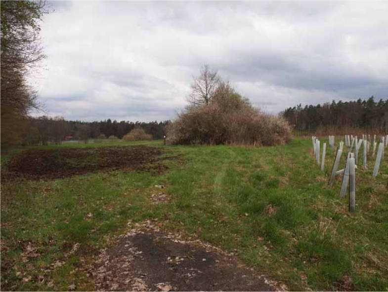 land- und forstwirtschaftlich genutztes Grundstück in "Gartenfeld" , 90475 Nürnberg, Birnthon - Bild 2