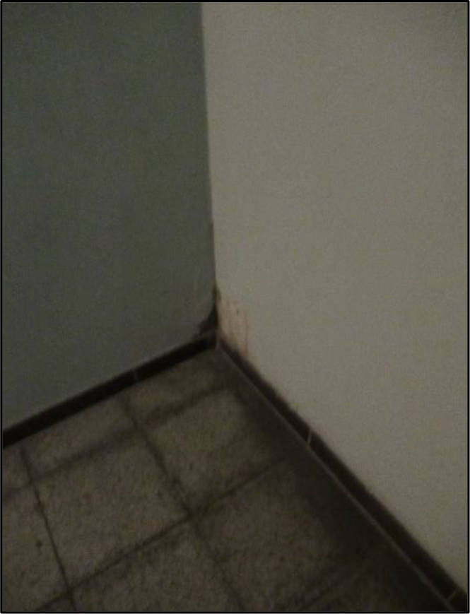 bayern 0009 K 0168/2024 Lenaustraße, 4. OG, rechts 10, 90431 Nürnberg 7
