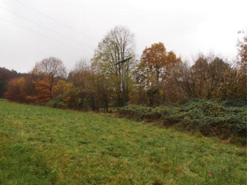 land- und forstwirtschaftlich genutztes Grundstück, land- und forstwirtschaftlich genutztes Grundstück, land- und forstwirtschaftlich genutztes Grundstück in "Breitling", 91238 Offenhausen, Püscheldorf - Bild 4