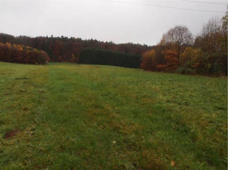 land- und forstwirtschaftlich genutztes Grundstück, land- und forstwirtschaftlich genutztes Grundstück, land- und forstwirtschaftlich genutztes Grundstück in "Breitling", 91238 Offenhausen, Püscheldorf - Bild 2