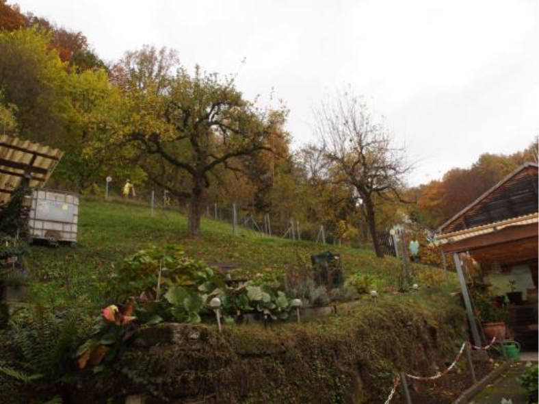 Wohn-/Geschäftshaus, unbebautes Grundstück, land- und forstwirtschaftlich genutztes Grundstück in Unterpurbach 41, 95326 Kulmbach - Bild 4