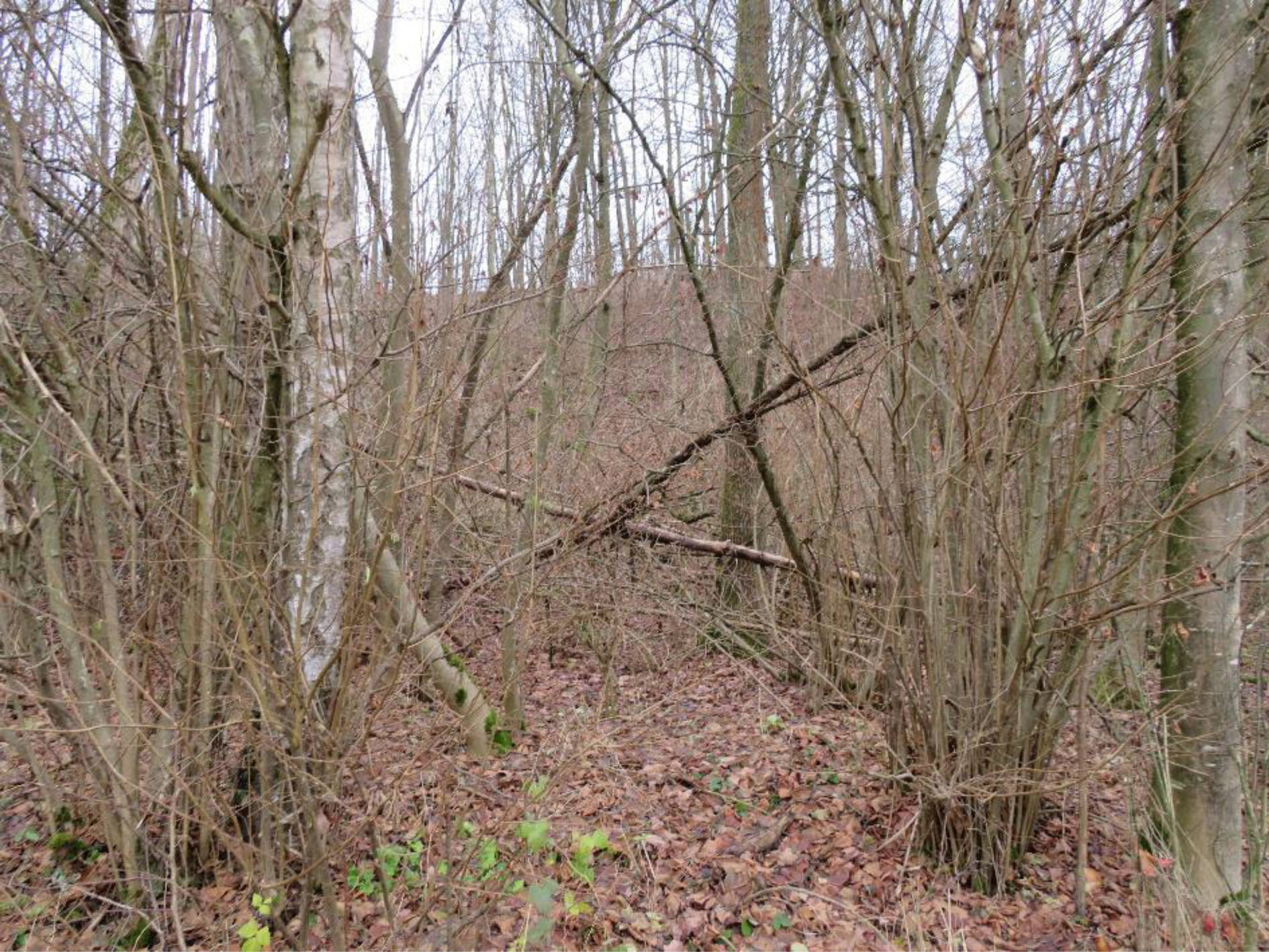 bayern 0801K0020-2024 Gräfenberg, 97640 Oberstreu