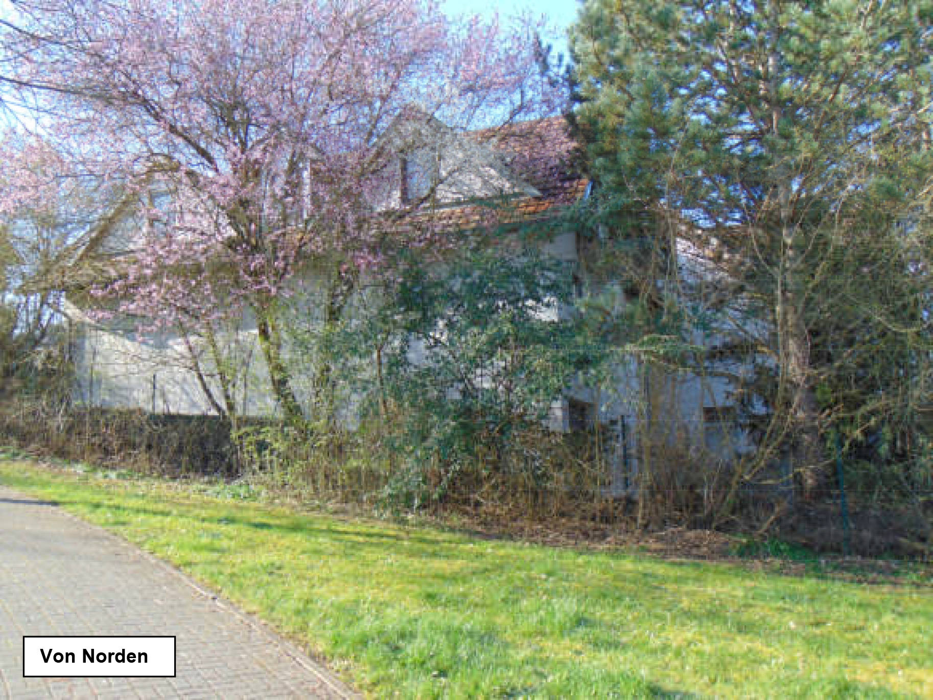 bayern 0803K0007-2022 Erfurter Straße 12, 97616 Bad Neustadt 13