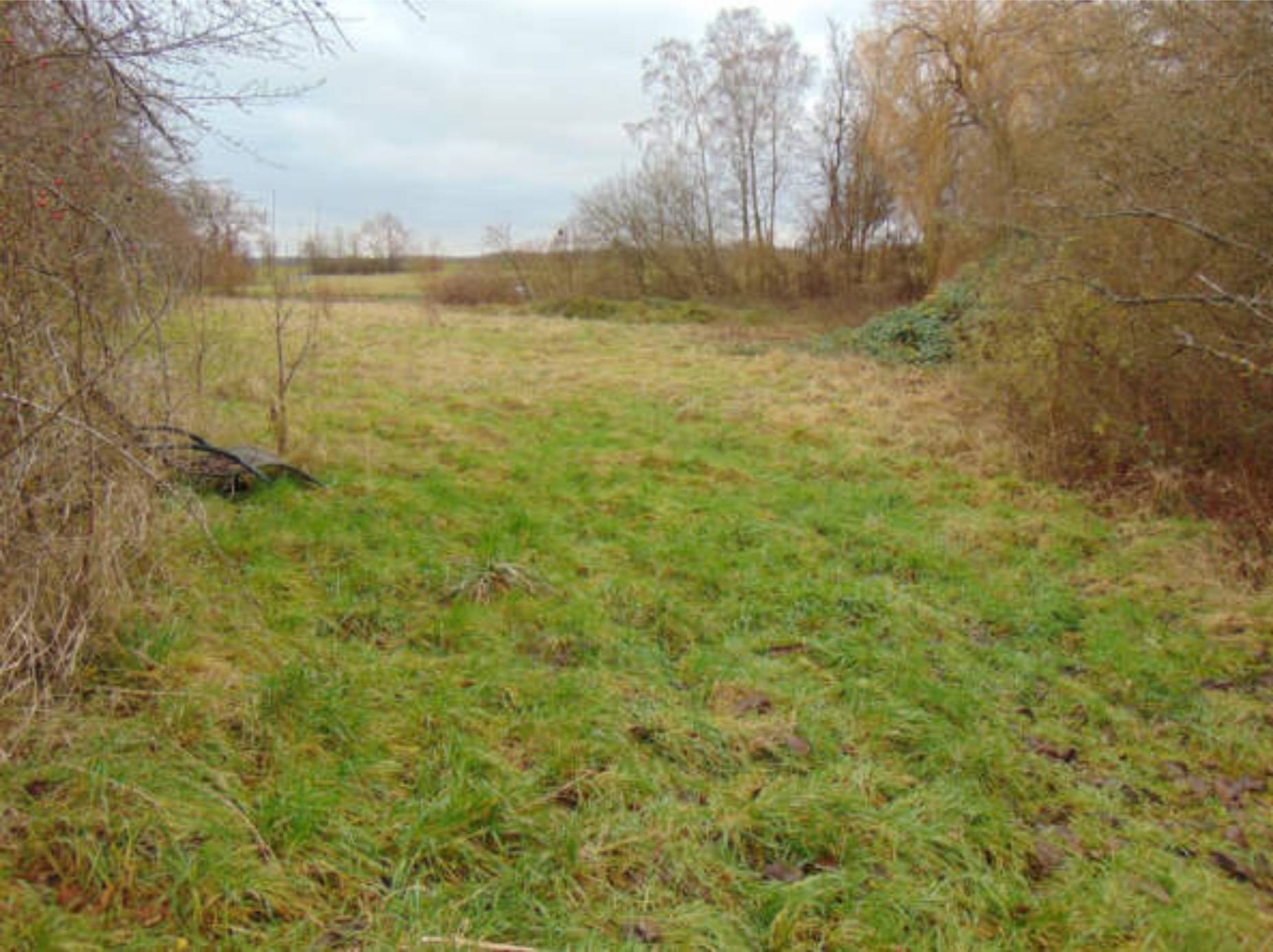 Zweifamilienhaus, Sonstiges in siehe Beschreibung, 97469 Gochsheim u. a. - Bild 3