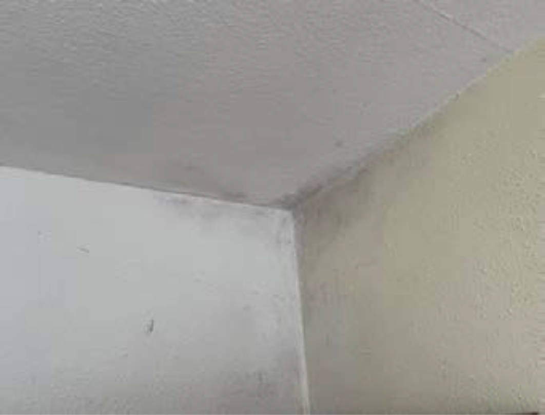 bayern 0803 K 0063/2024 Max-Fraunberger-Straße 9, 94094 Rotthalmünster 15