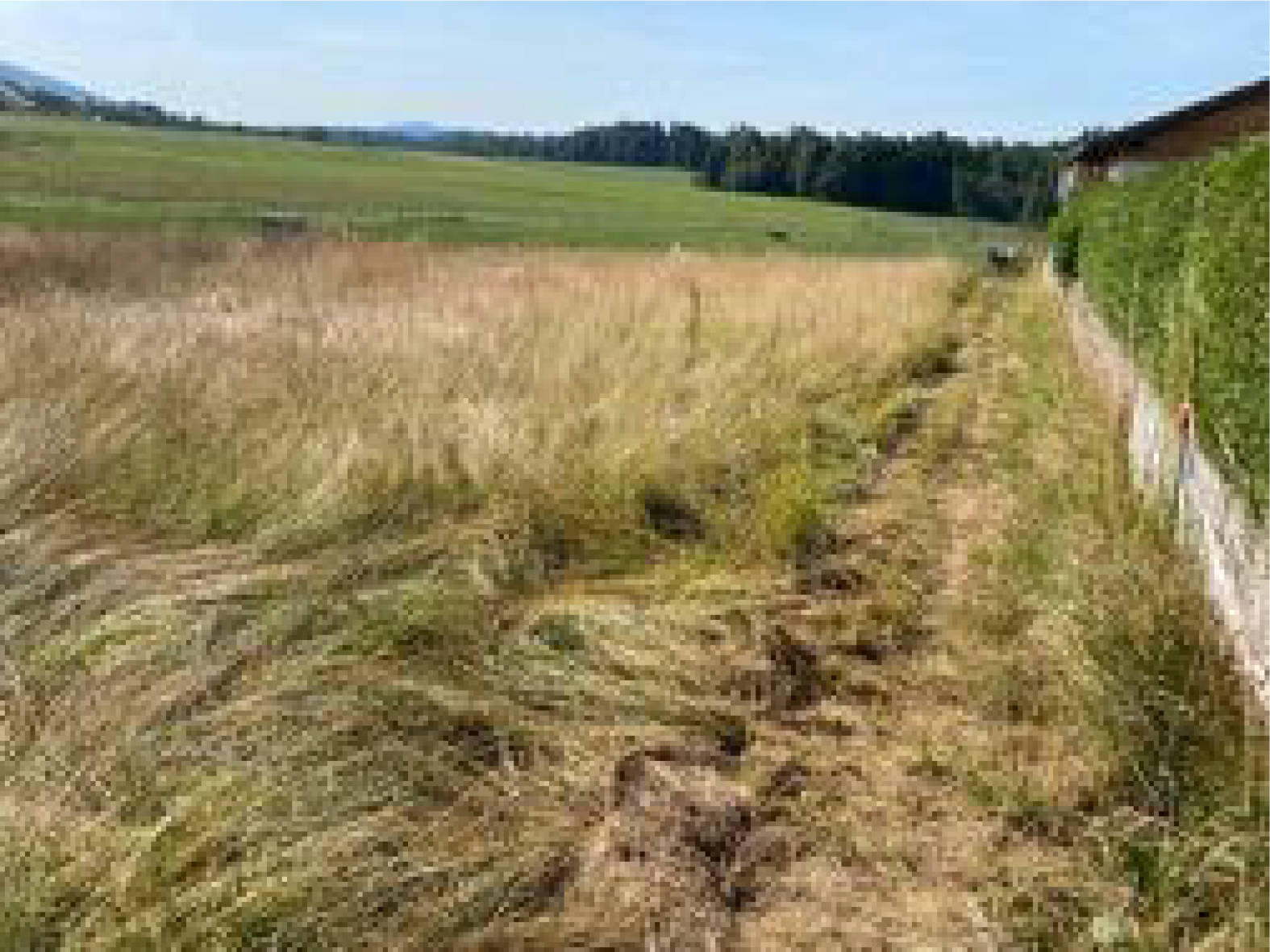 bayern 0804K0018/2023 Nähe Dorfstraße, 94107 Untergriesbach, Schaibing 14