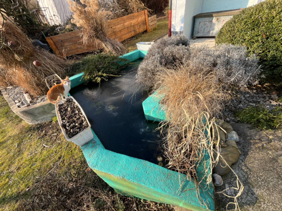 bayern 0804 K 0030/2021 Obere Schneckenbergstraße 43, 94034 Passau 9