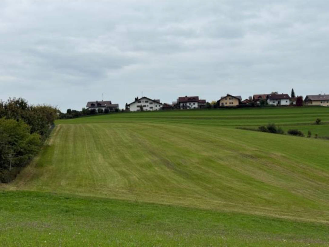 land- und forstwirtschaftlich genutztes Grundstück in Birnbaumacker, 94161 Ruderting