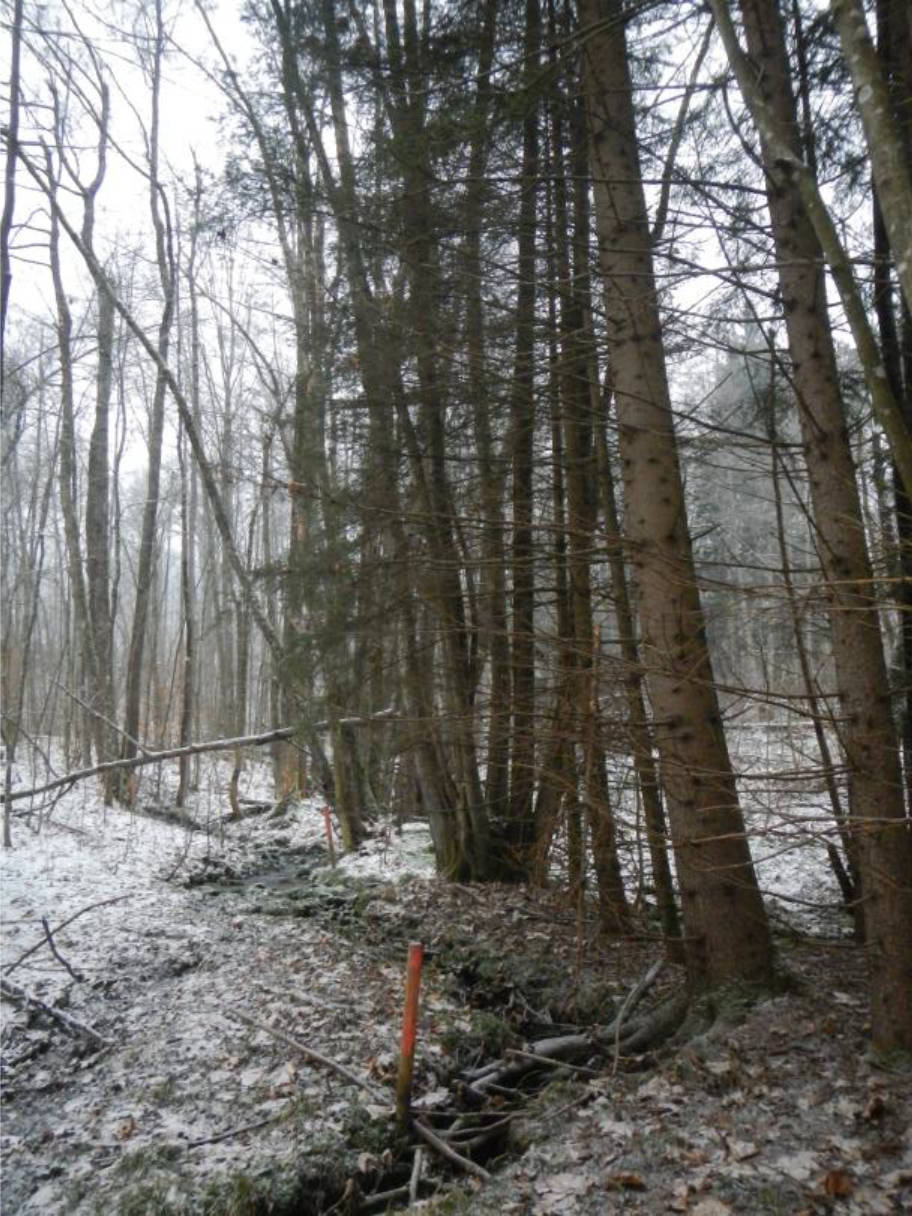 bayern 0804K0035/2022 Steinhoferwiesen, 94579 Zenting 10