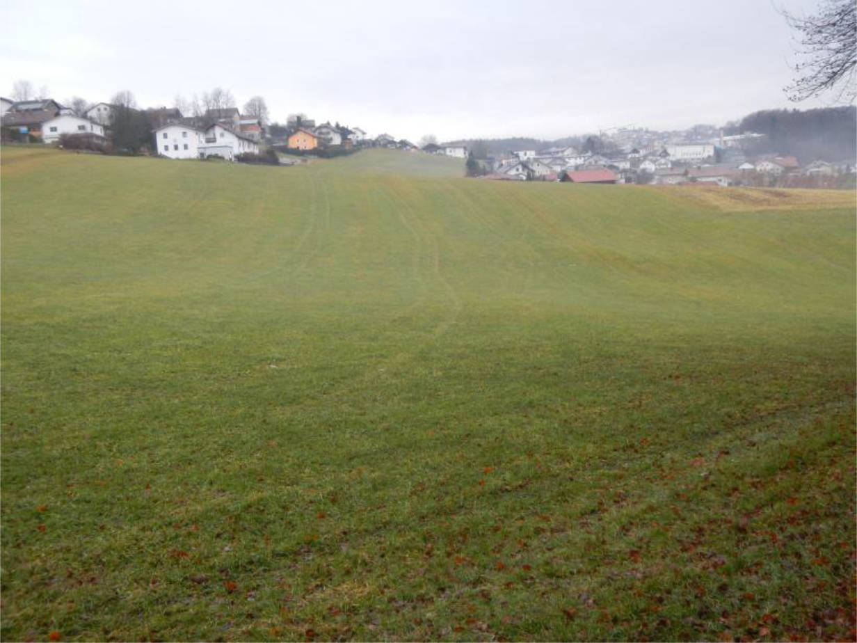 land- und forstwirtschaftlich genutztes Grundstück 0804 K 0077-2024 Beitzäcker und Reutholz, 94538 Fürstenstein