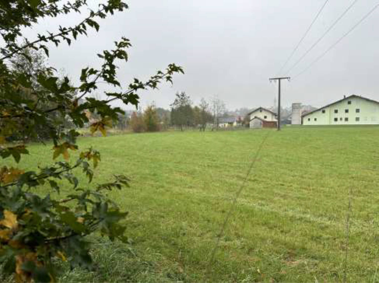 bayern 0804 K 0078/2023 Thal  20, 94086 Bad Griesbach 9