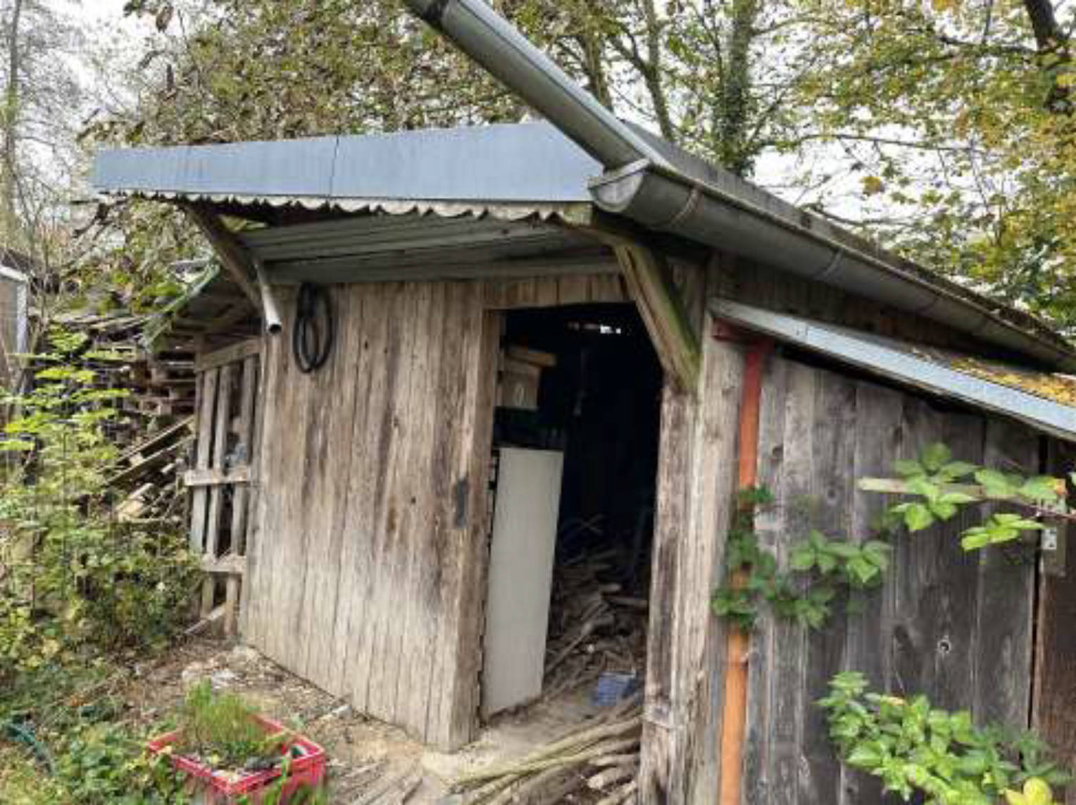 bayern 0804 K 0078/2023 Thal  20, 94086 Bad Griesbach 11