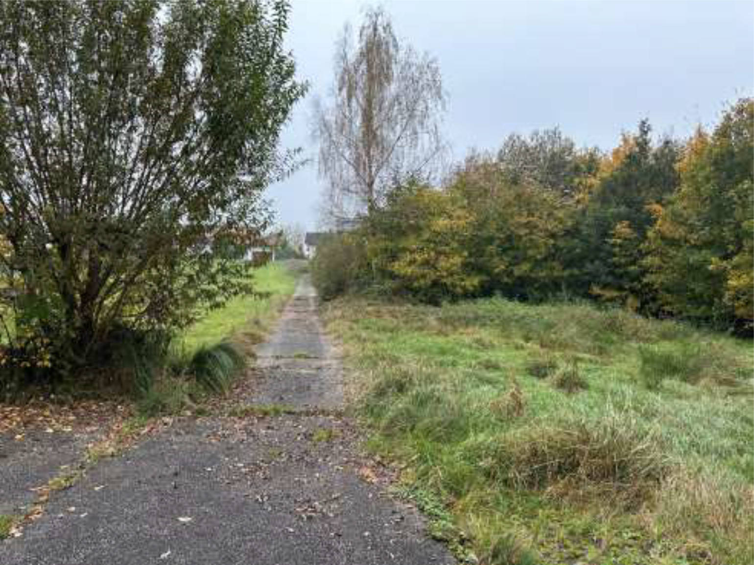 bayern 0804 K 0078/2023 Thal  20, 94086 Bad Griesbach 10