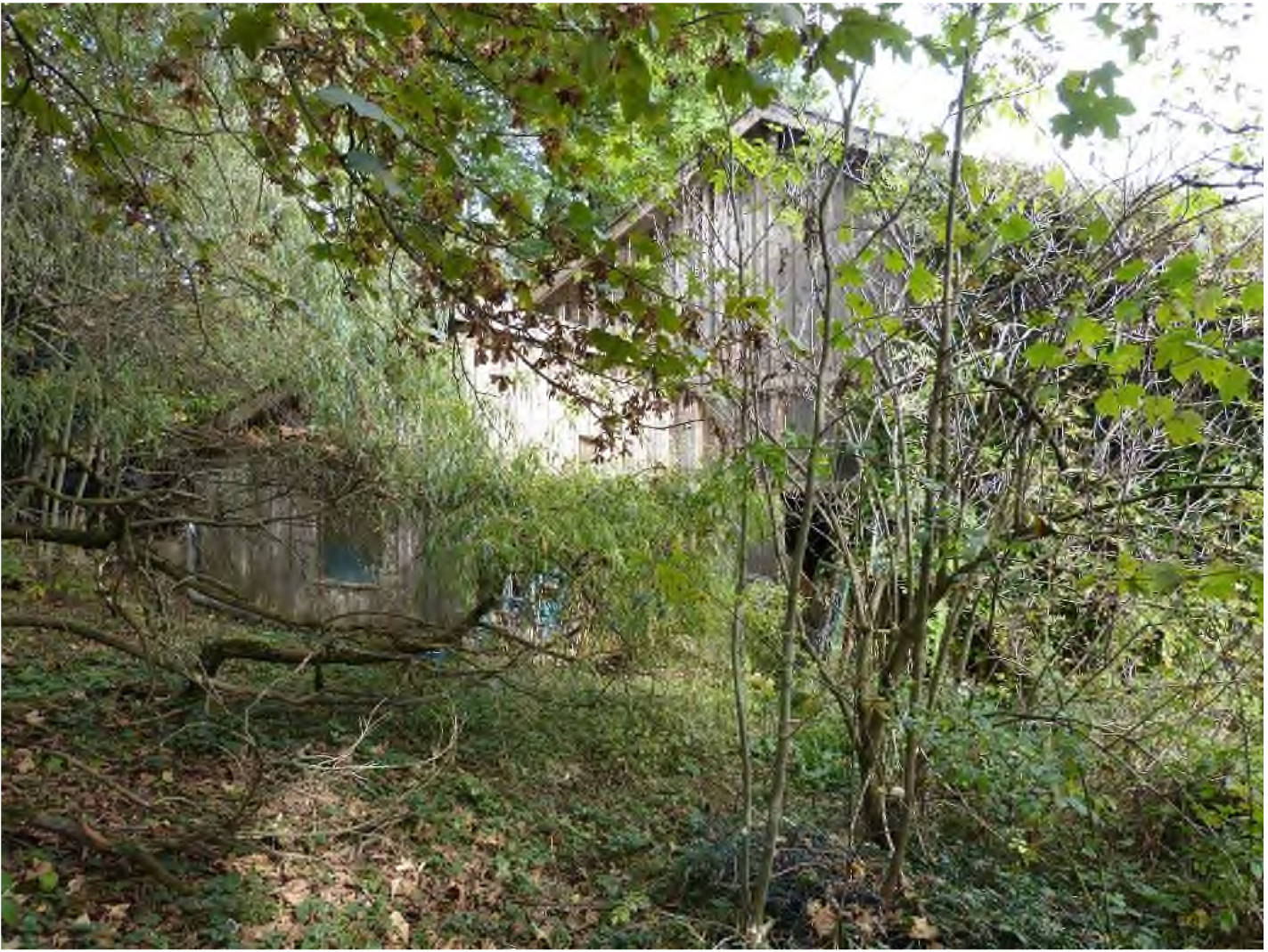 Einfamilienhaus in Dorfstraße 15, 94556 Neuschönau - Bild 3