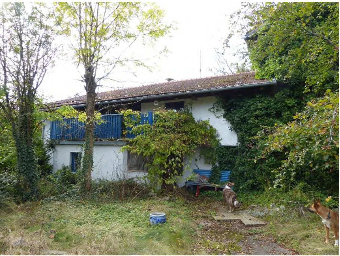 Einfamilienhaus in Dorfstraße 15, 94556 Neuschönau - Bild 5