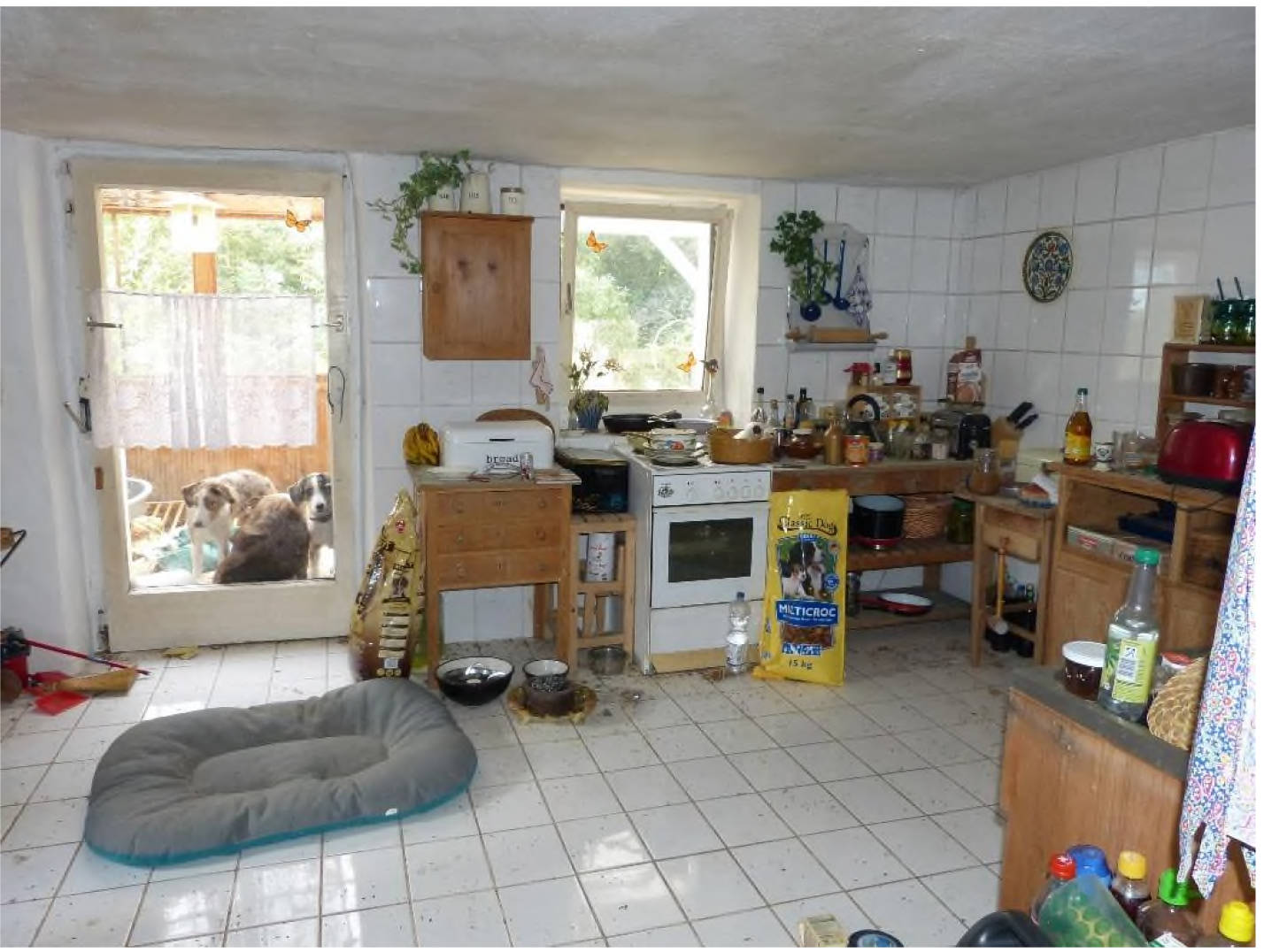 bayern 0804 K 0085/2022 Dorfstraße 15, 94556 Neuschönau 9