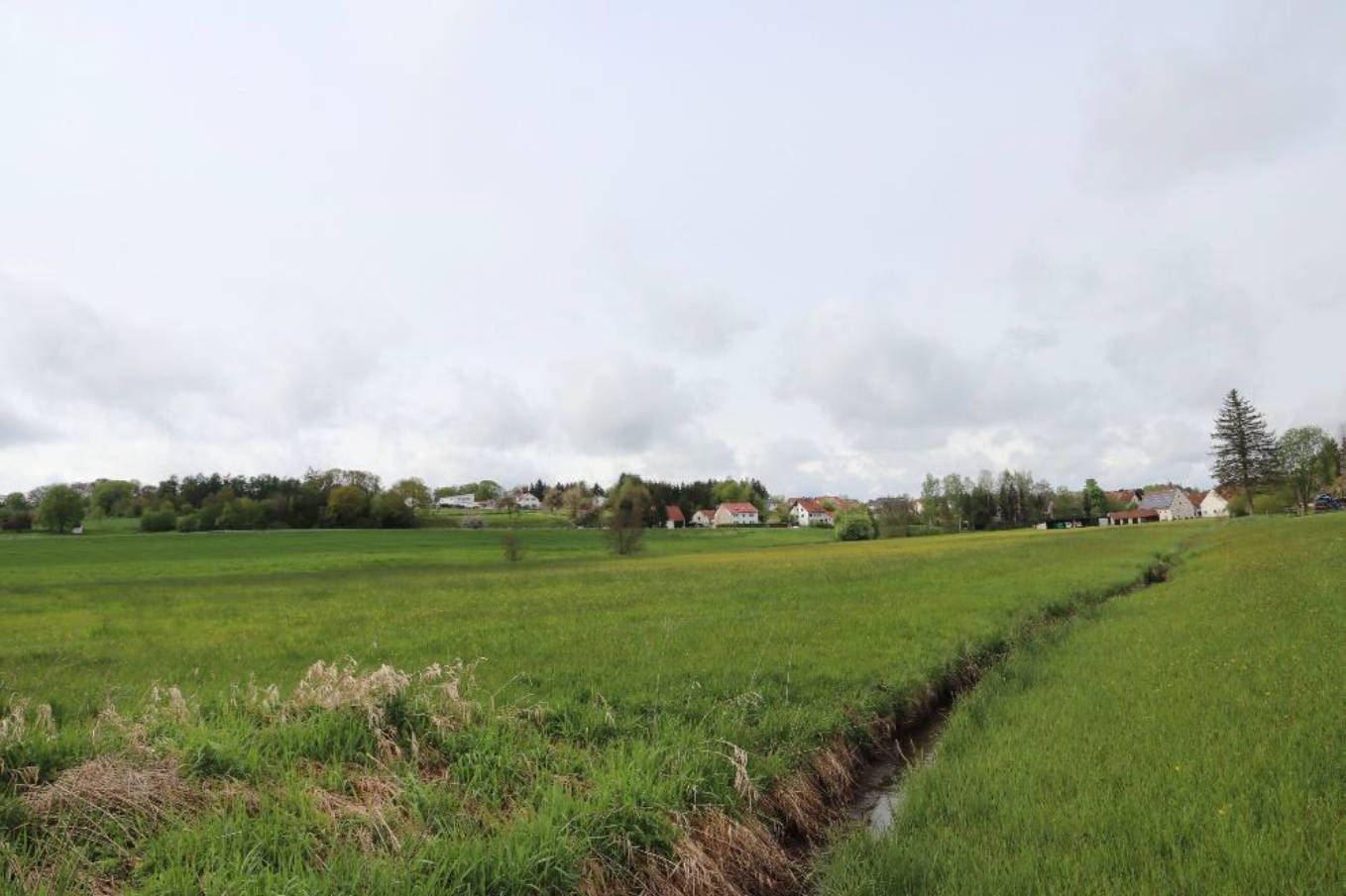 land-/ forstwirtschtl. Flächen in Bachmähder, 89269 Biberachzell - Bild 2